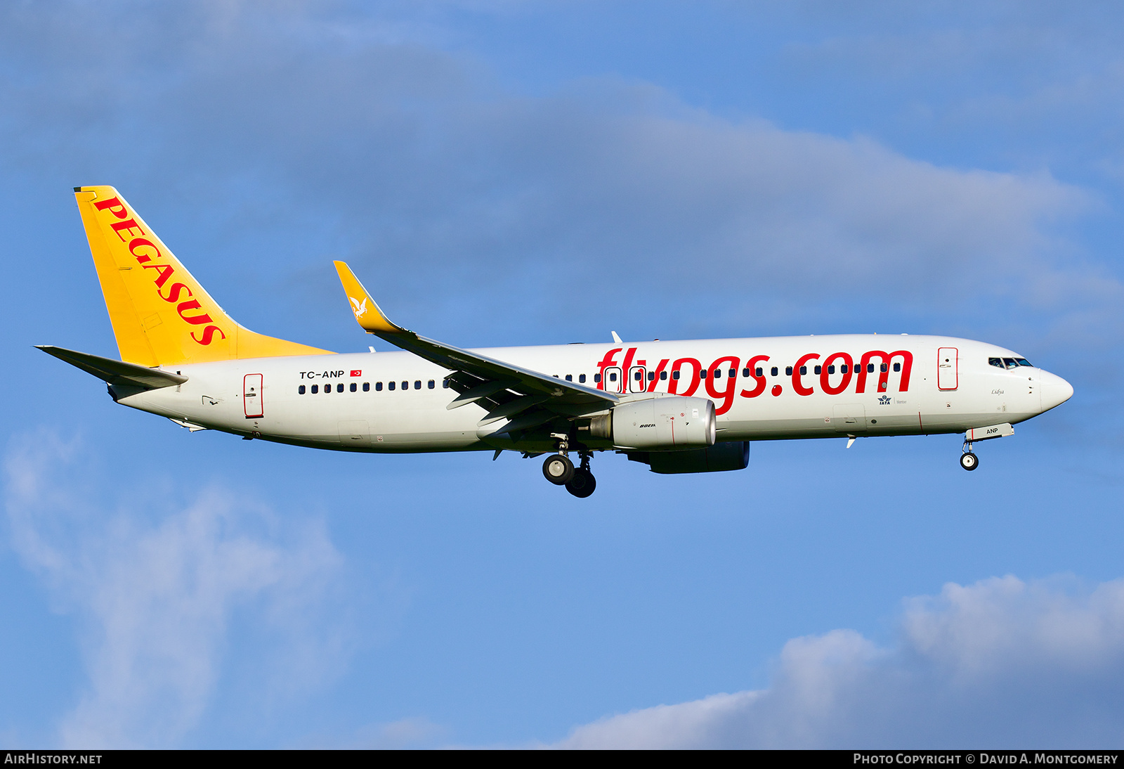 Aircraft Photo of TC-ANP | Boeing 737-82R | Pegasus Airlines | AirHistory.net #781535