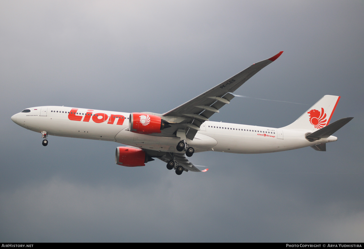 Aircraft Photo of PK-LES | Airbus A330-941N | Lion Air | AirHistory.net #782690