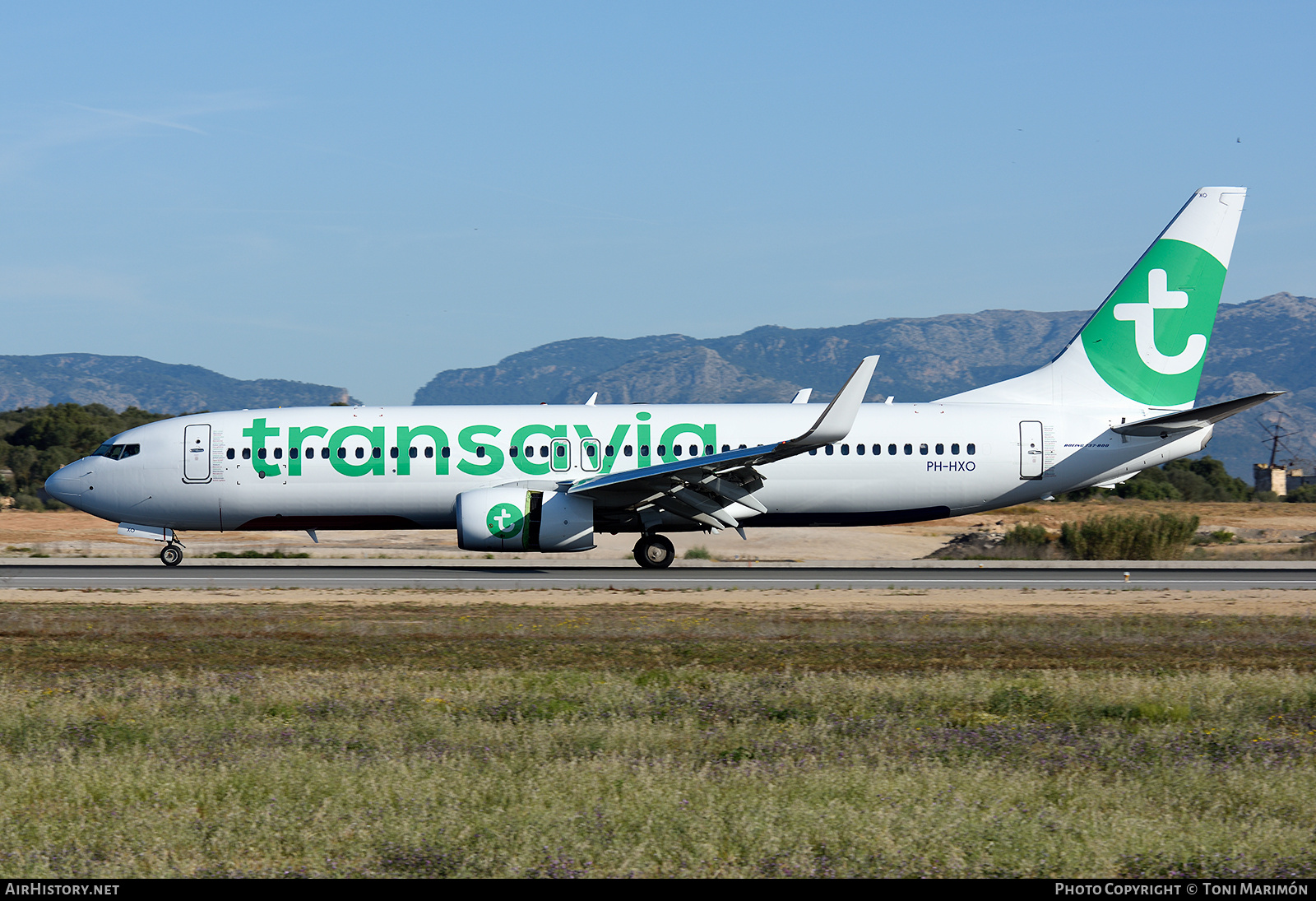 Aircraft Photo of PH-HXO | Boeing 737-800 | Transavia | AirHistory.net #783965
