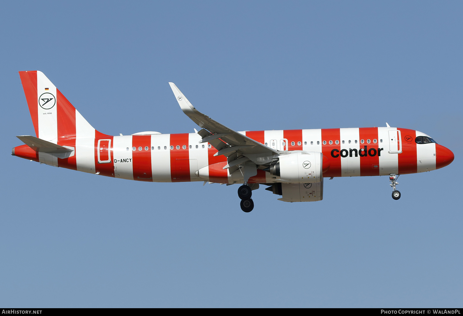 Aircraft Photo of D-ANCY | Airbus A320-271N | Condor Flugdienst | AirHistory.net #786987