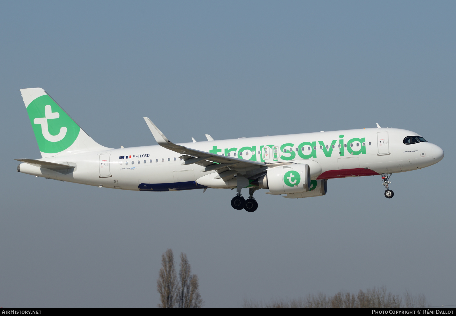 Aircraft Photo of F-HXSD | Airbus A320-252N | Transavia | AirHistory.net #786989