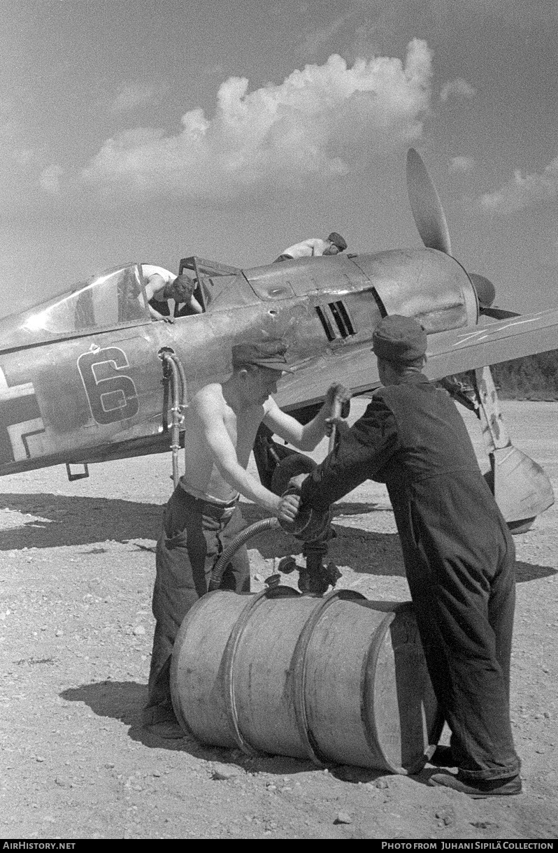 Aircraft Photo of 6 black | Focke-Wulf Fw-190F-8 | Germany - Air Force | AirHistory.net #787303