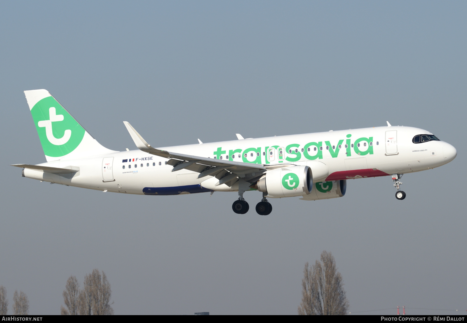 Aircraft Photo of F-HXSE | Airbus A320-252N | Transavia | AirHistory.net #787448