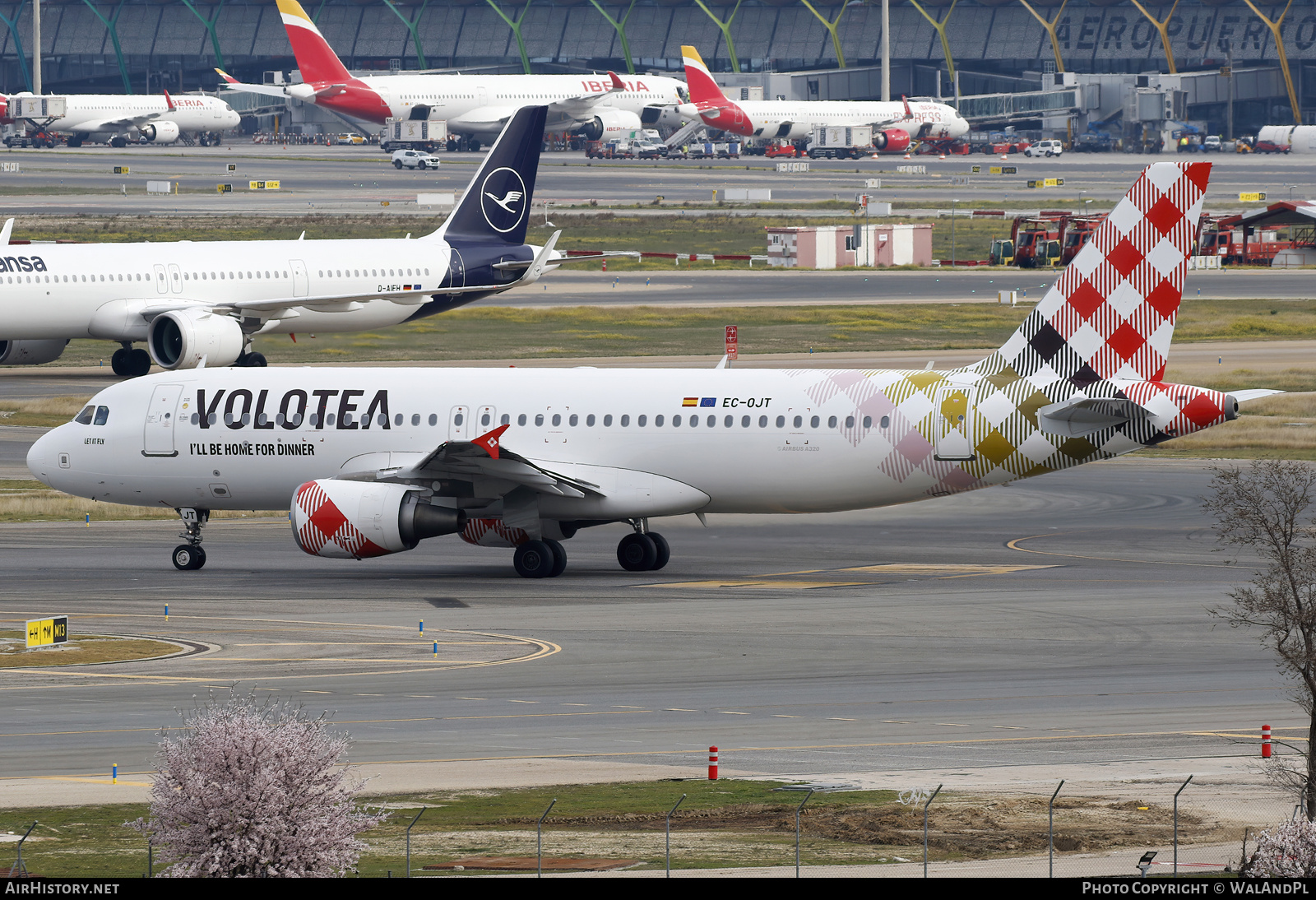 Aircraft Photo of EC-OJT | Airbus A320-214 | Volotea | AirHistory.net #789116