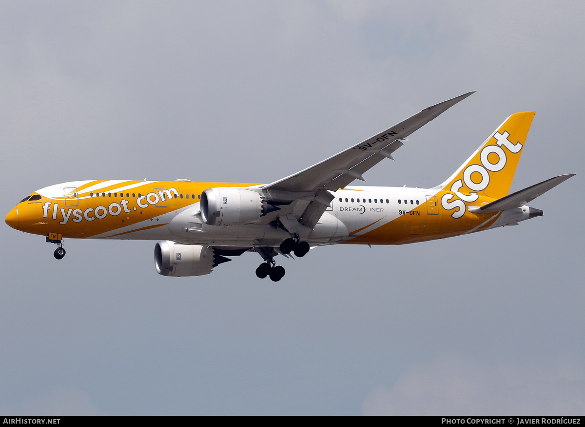 Aircraft Photo of 9V-OFN | Boeing 787-8 Dreamliner | Scoot | AirHistory.net #792999