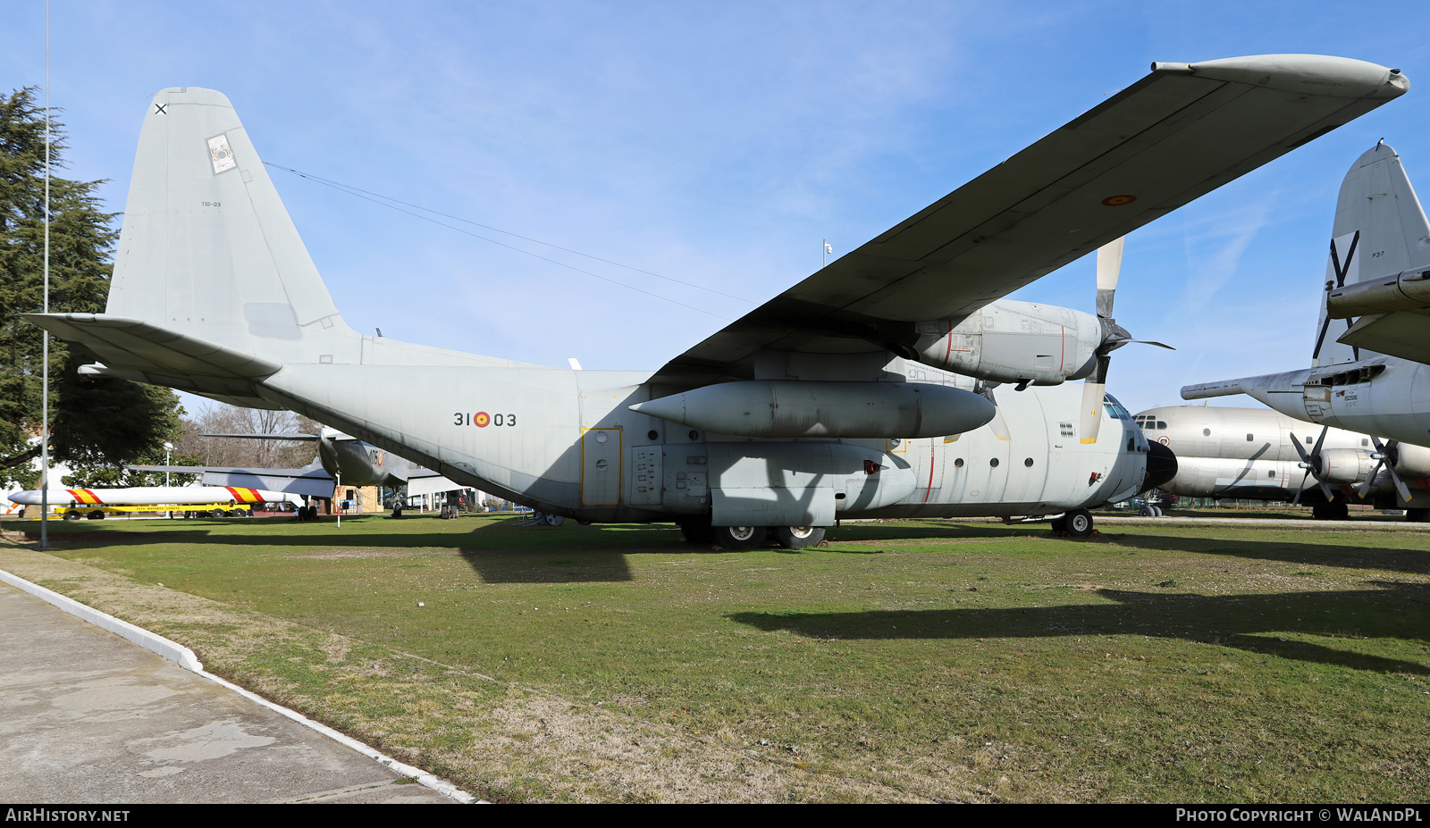 Aircraft Photo of T.10-03 | Lockheed C-130H Hercules | Spain - Air Force | AirHistory.net #793805