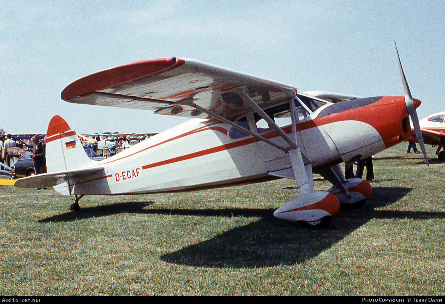 Aircraft Photo of D-ECAF | Fairchild 24H | AirHistory.net #794164