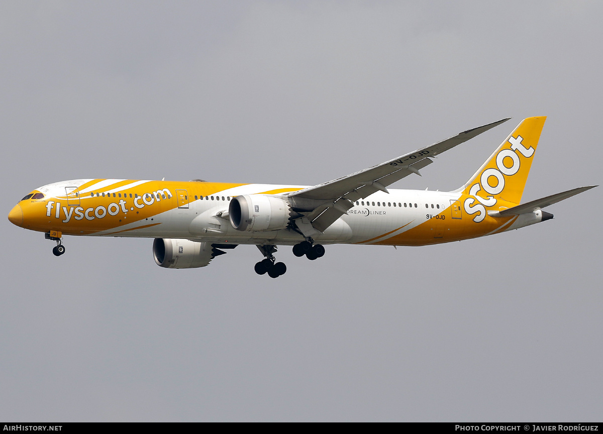 Aircraft Photo of 9V-OJD | Boeing 787-9 Dreamliner | Scoot | AirHistory.net #794744