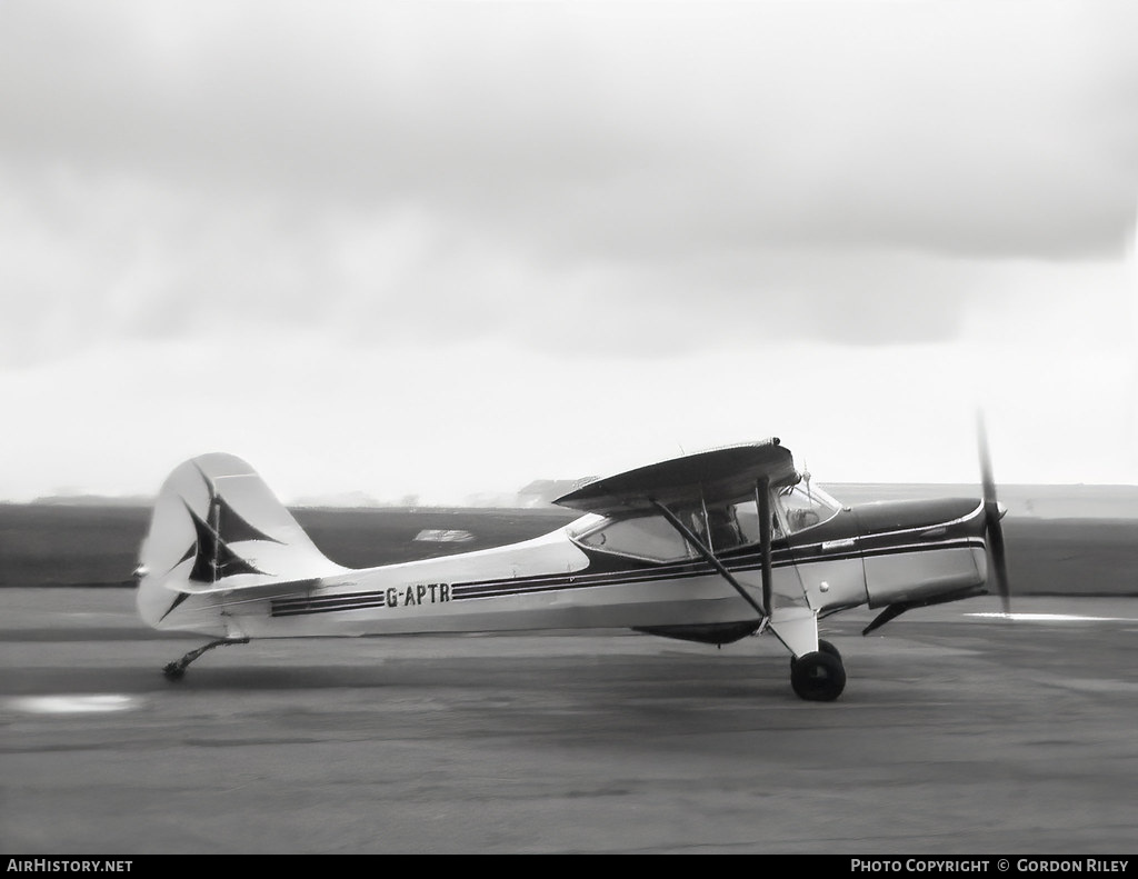 Aircraft Photo of G-APTR | Auster J-1N Alpha | AirHistory.net #795628