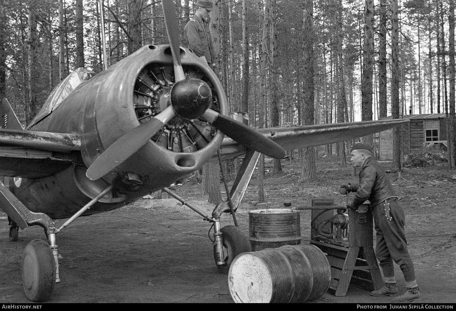 Aircraft Photo of BW-352 | Brewster B-239 Buffalo | Finland - Air Force | AirHistory.net #795867