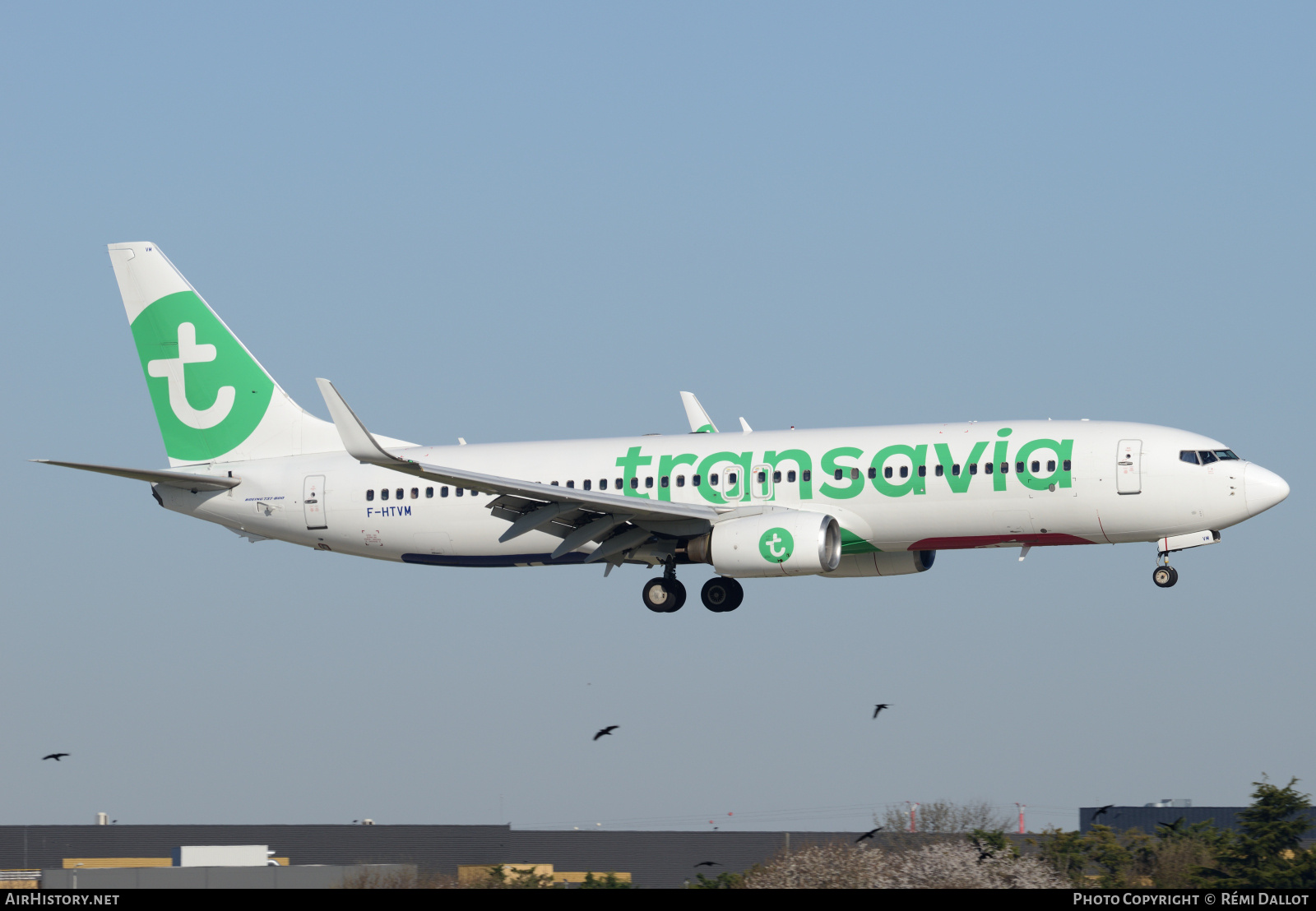 Aircraft Photo of F-HTVM | Boeing 737-84P | Transavia | AirHistory.net #796899