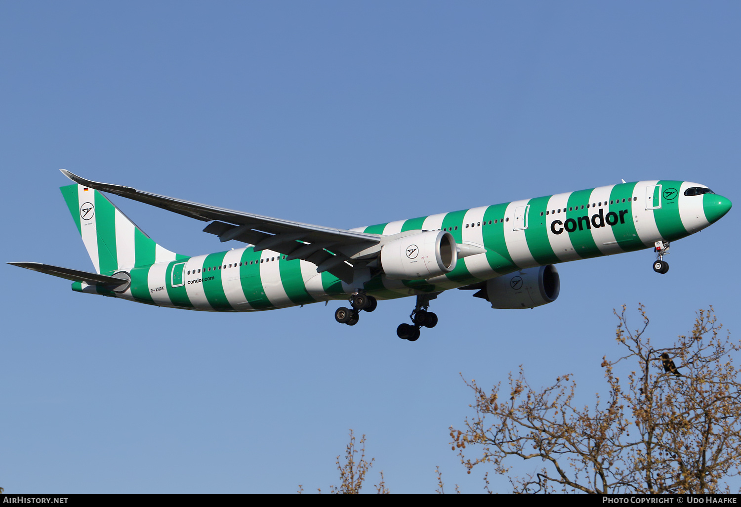 Aircraft Photo of D-ANRK | Airbus A330-941N | Condor Flugdienst | AirHistory.net #796969