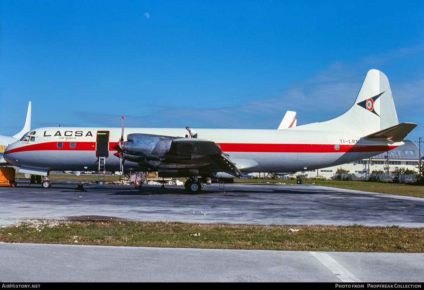 Aircraft Photo of TI-LRN | Lockheed L-188C(F) Electra | LACSA Carguero - Líneas Aéreas de Costa Rica | AirHistory.net #797993
