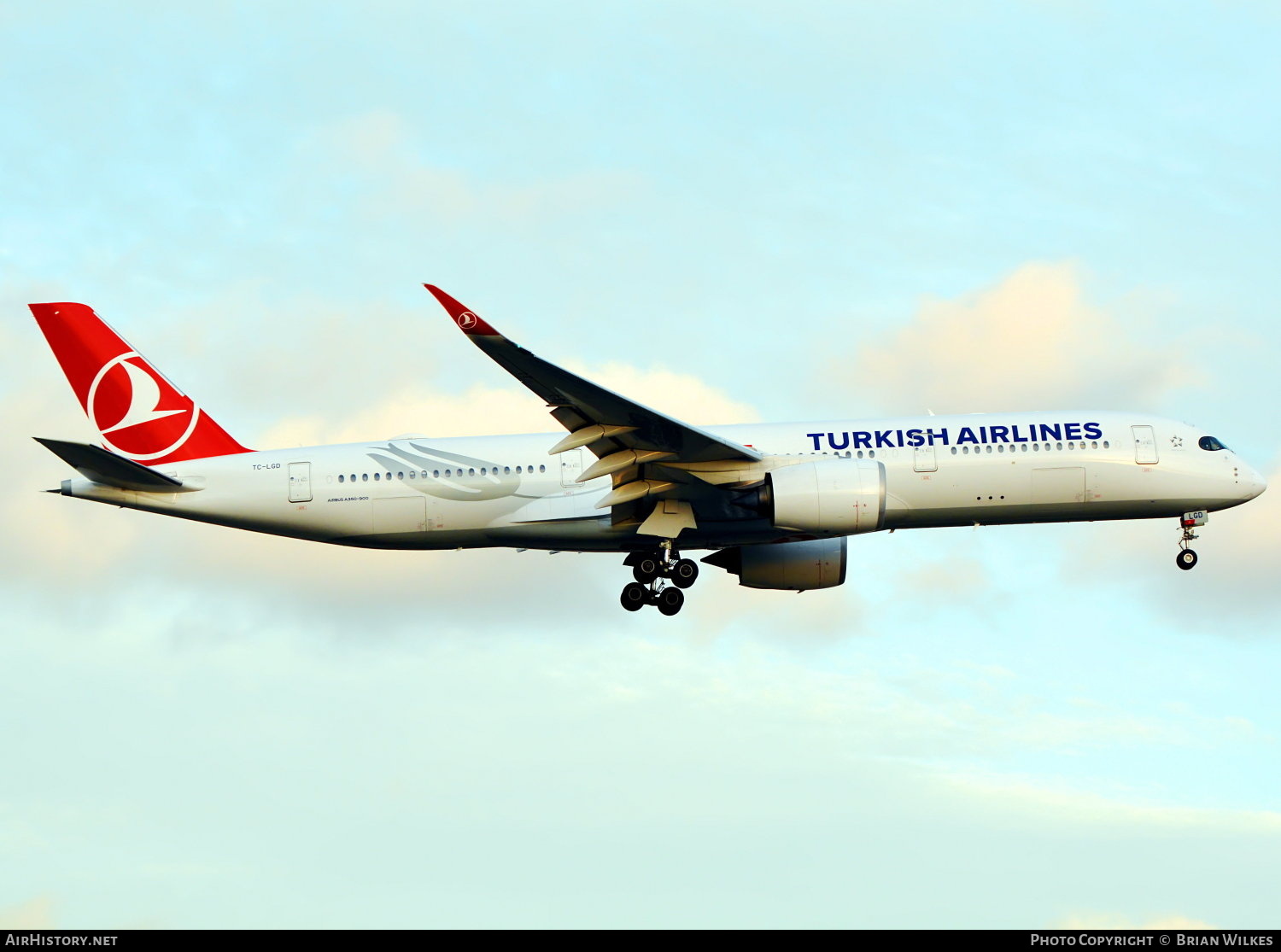 Aircraft Photo of TC-LGD | Airbus A350-941 | Turkish Airlines | AirHistory.net #798062