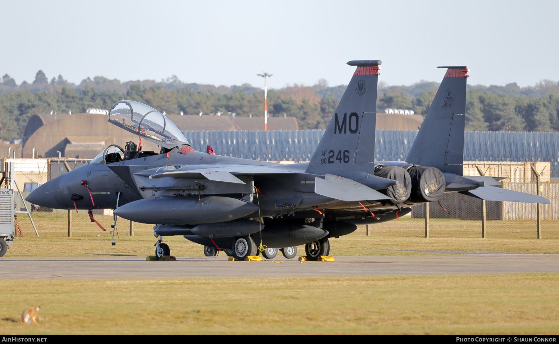 Aircraft Photo of 90-0246 / AF90-246 | Boeing F-15E Strike Eagle | USA - Air Force | AirHistory.net #799077