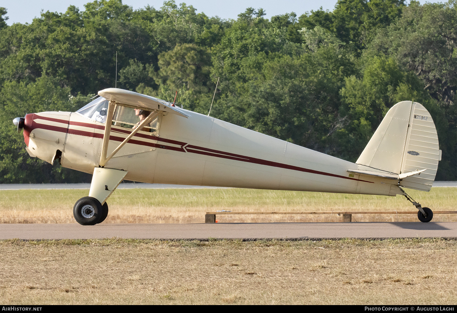 Aircraft Photo of N25142 | Luscombe 8A | AirHistory.net #799431