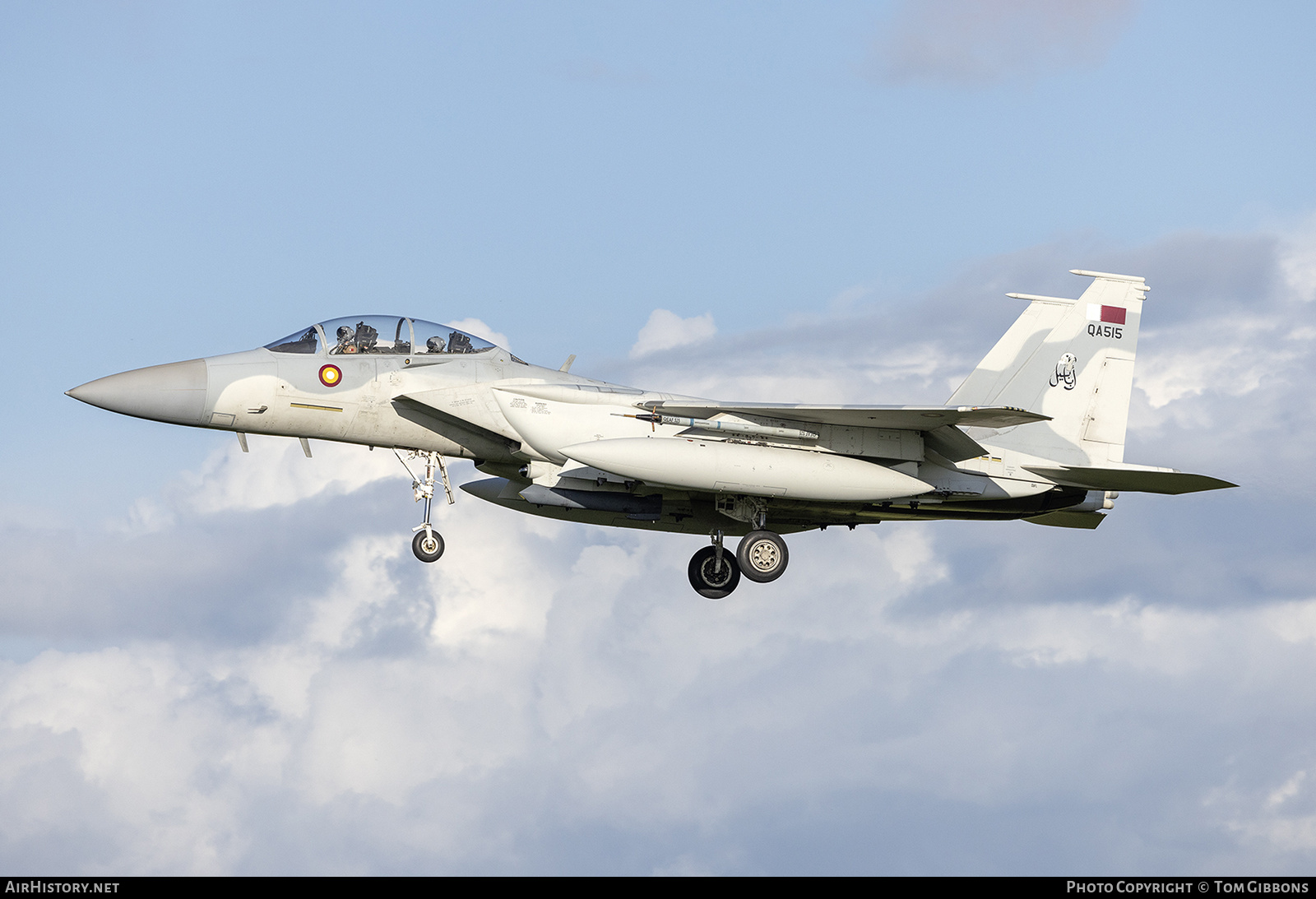 Aircraft Photo of QA515 / 17-020 | Boeing F-15QA Eagle | Qatar - Air Force | AirHistory.net #799709