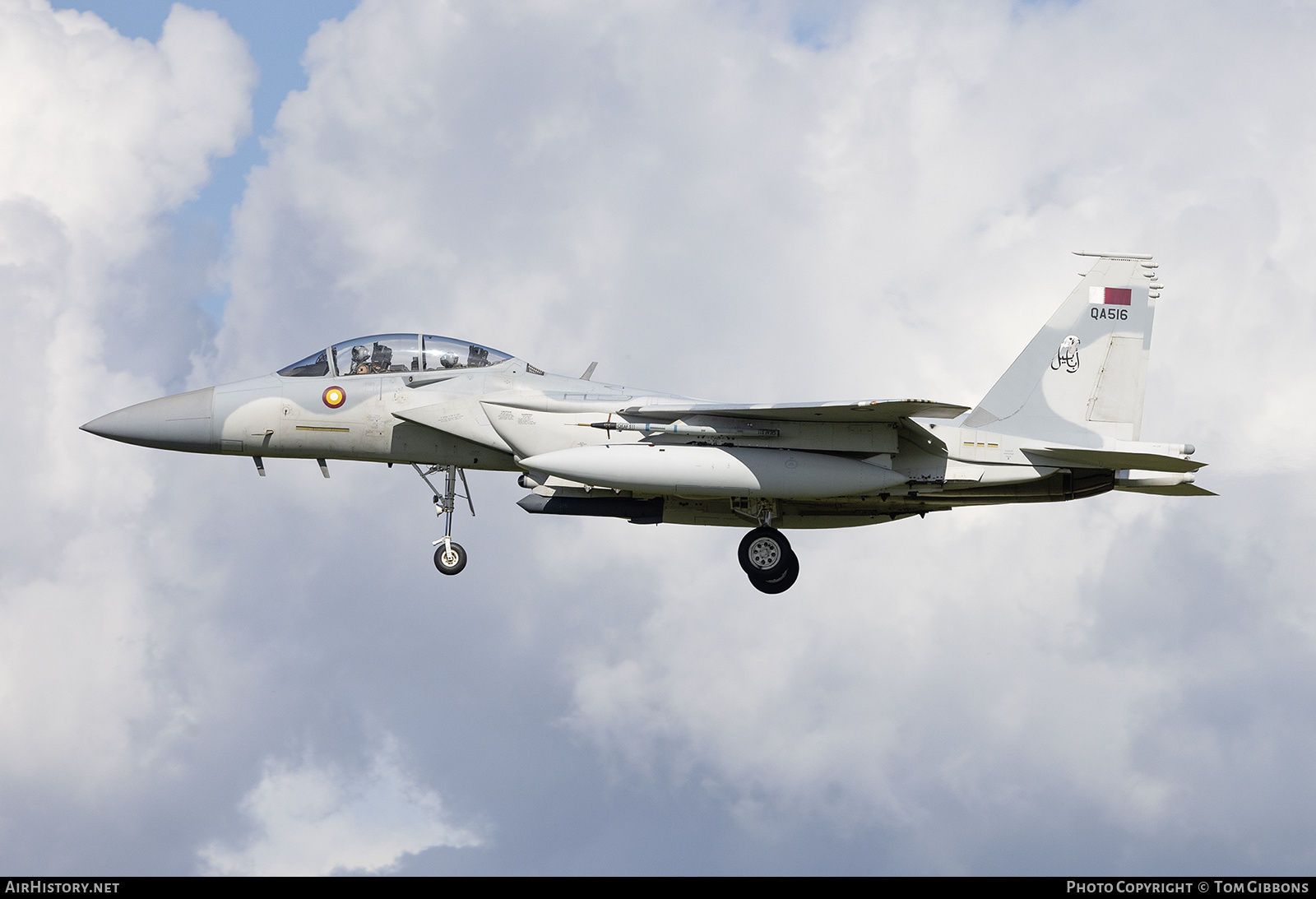Aircraft Photo of QA516 / 17-021 | Boeing F-15QA Eagle | Qatar - Air Force | AirHistory.net #799751
