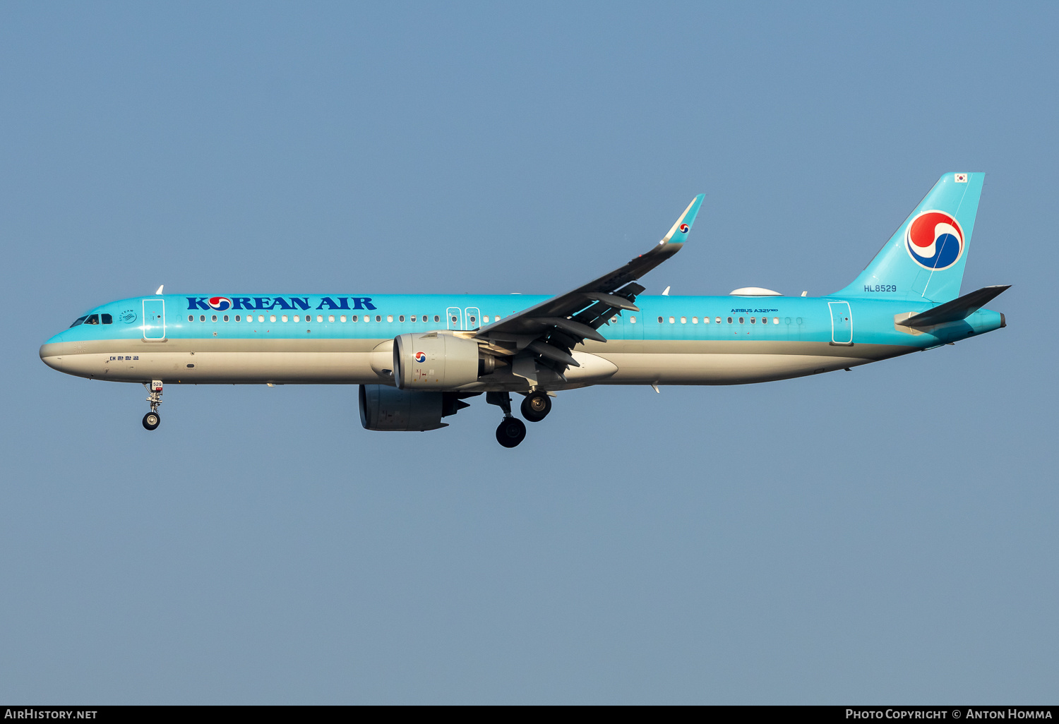 Aircraft Photo of HL8529 | Airbus A321-272NX | Korean Air | AirHistory.net #800446
