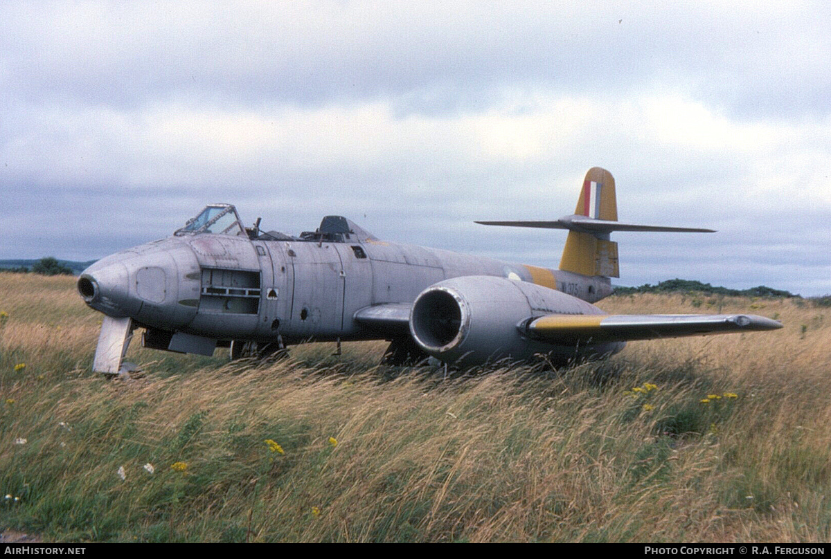 Aircraft Photo of WL375 | Gloster Meteor T7 (Mod) | UK - Air Force | AirHistory.net #801437