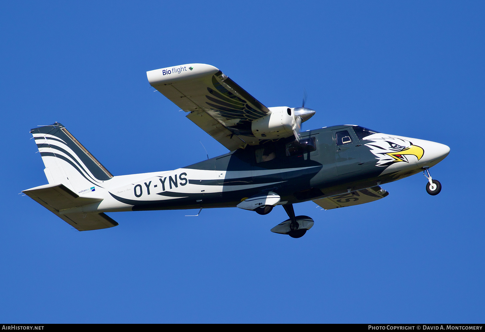 Aircraft Photo of OY-YNS | Vulcanair P-68C | Bioflight | AirHistory.net #801625
