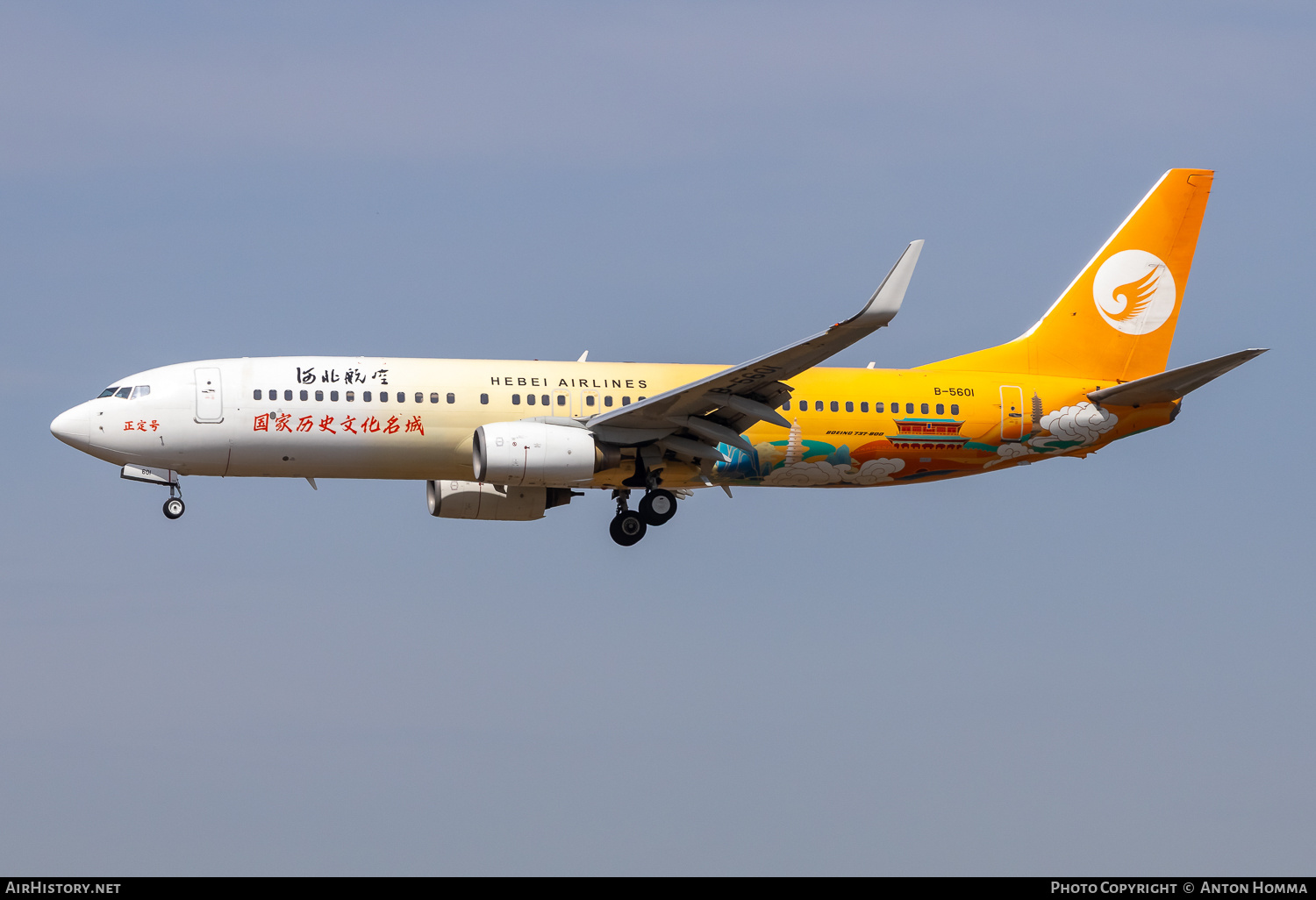 Aircraft Photo of B-5601 | Boeing 737-86N | Hebei Airlines | AirHistory.net #801932