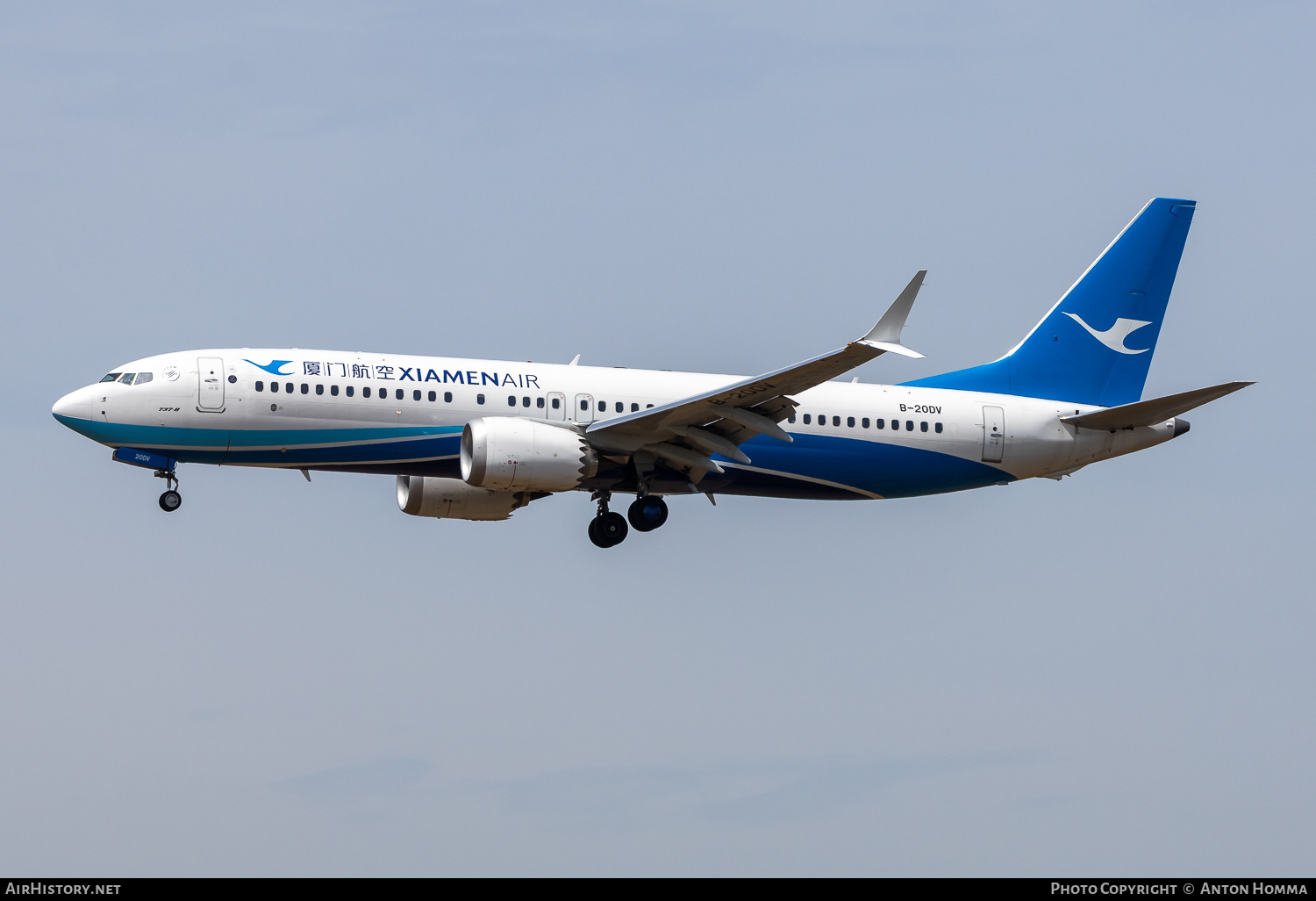 Aircraft Photo of B-20DV | Boeing 737-8 Max 8 | Xiamen Airlines | AirHistory.net #802418