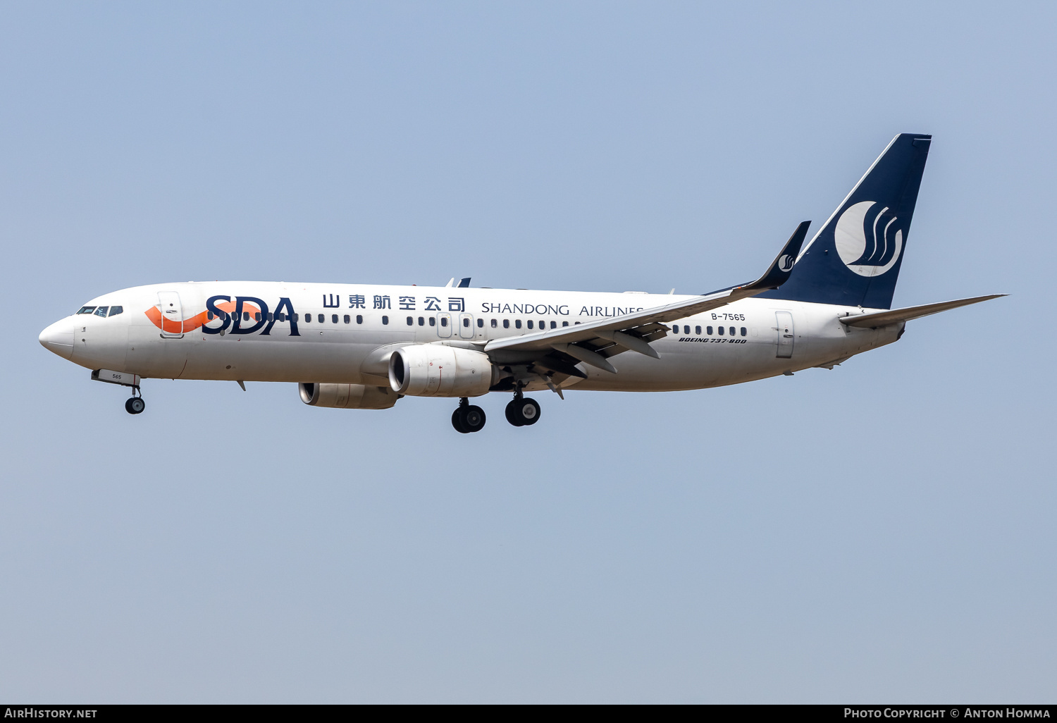 Aircraft Photo of B-7565 | Boeing 737-85N | Shandong Airlines - SDA | AirHistory.net #802419