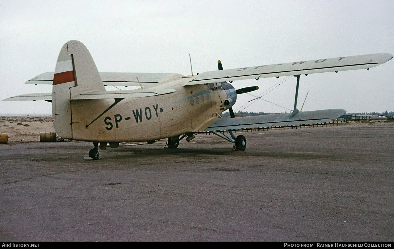 Aircraft Photo of SP-WOY | Antonov An-2R | AirHistory.net #802594