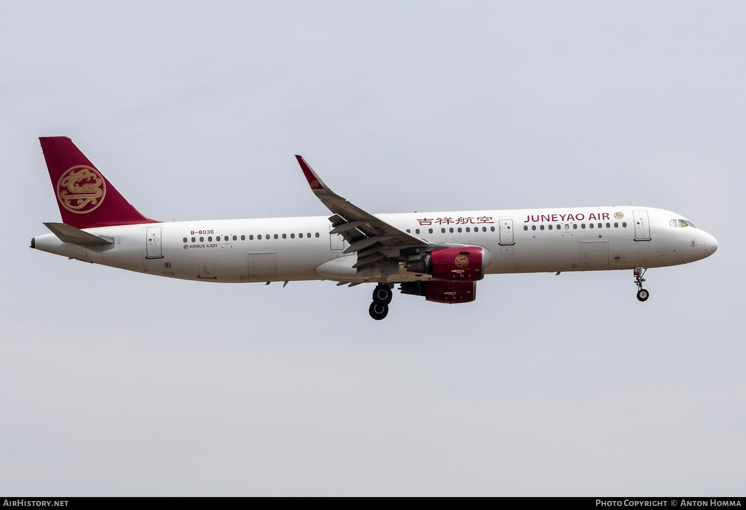 Aircraft Photo of B-8036 | Airbus A321-211 | Juneyao Airlines | AirHistory.net #802817