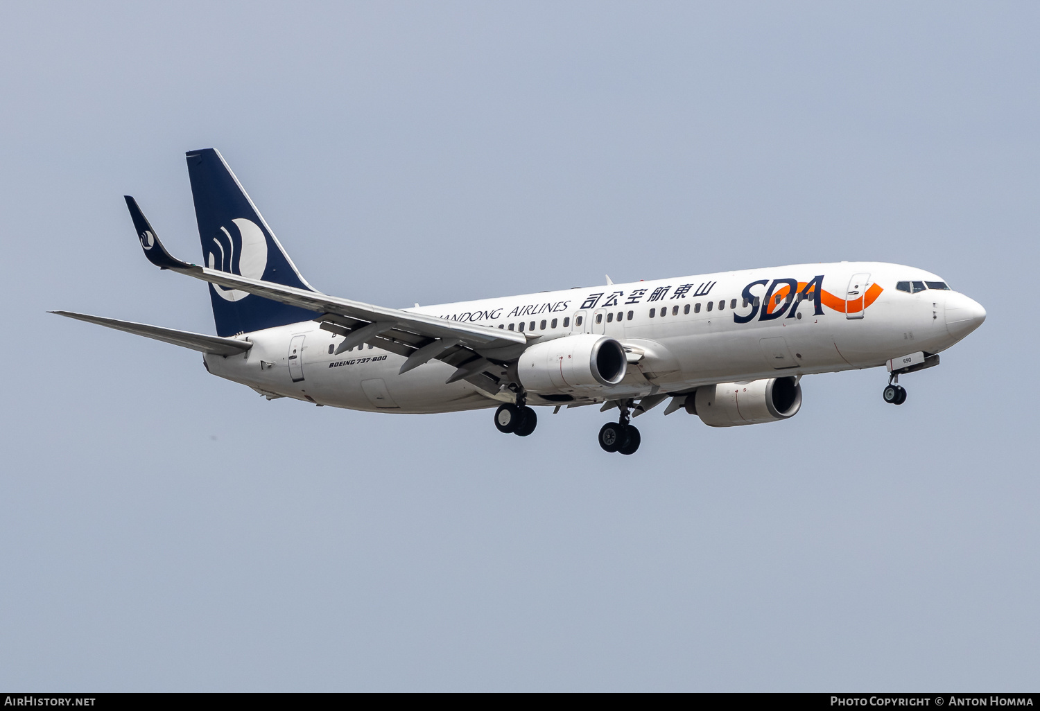 Aircraft Photo of B-5590 | Boeing 737-85N | Shandong Airlines - SDA | AirHistory.net #802821