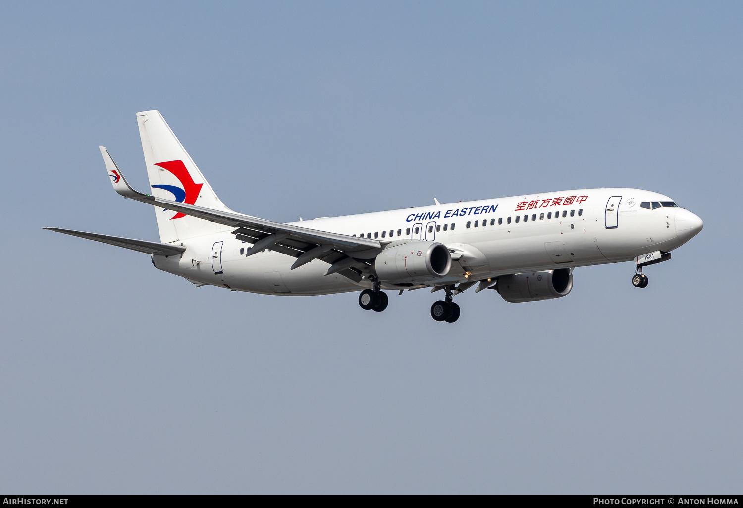 Aircraft Photo of B-1981 | Boeing 737-89P | China Eastern Airlines | AirHistory.net #803180