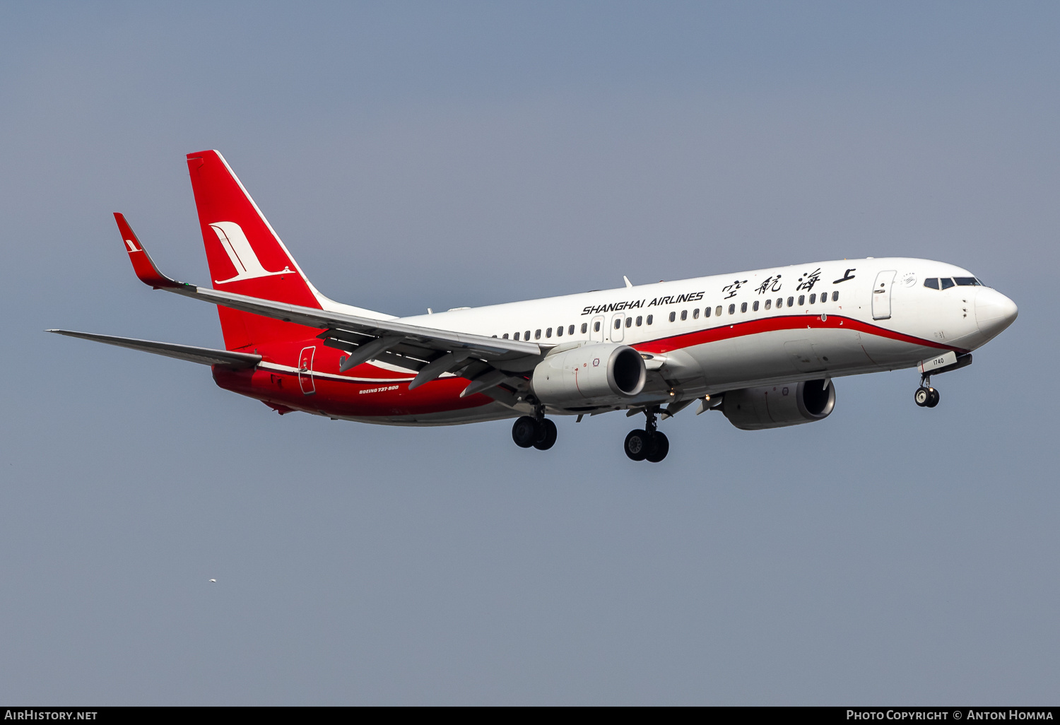 Aircraft Photo of B-1740 | Boeing 737-86D | Shanghai Airlines | AirHistory.net #803903
