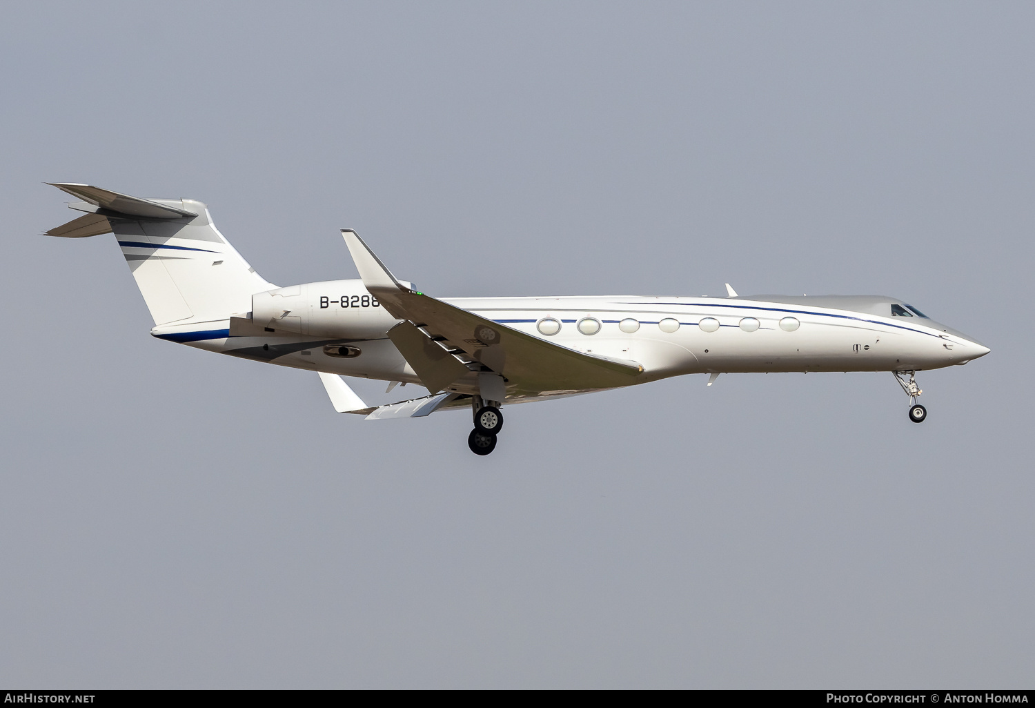 Aircraft Photo of B-8288 | Gulfstream Aerospace G-V-SP Gulfstream G550 | AirHistory.net #803911