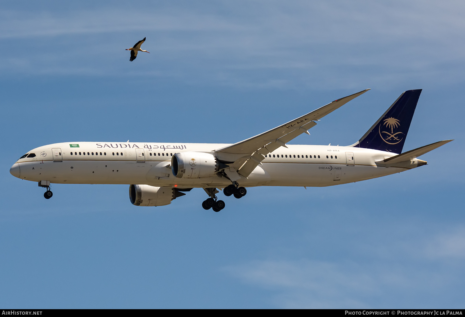 Aircraft Photo of HZ-ARA | Boeing 787-9 Dreamliner | Saudia - Saudi Arabian Airlines | AirHistory.net #804127