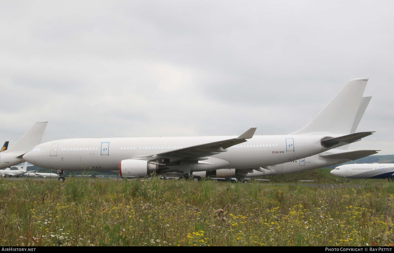 Aircraft Photo of OE-IFW | Airbus A330-203 | AirHistory.net #804291