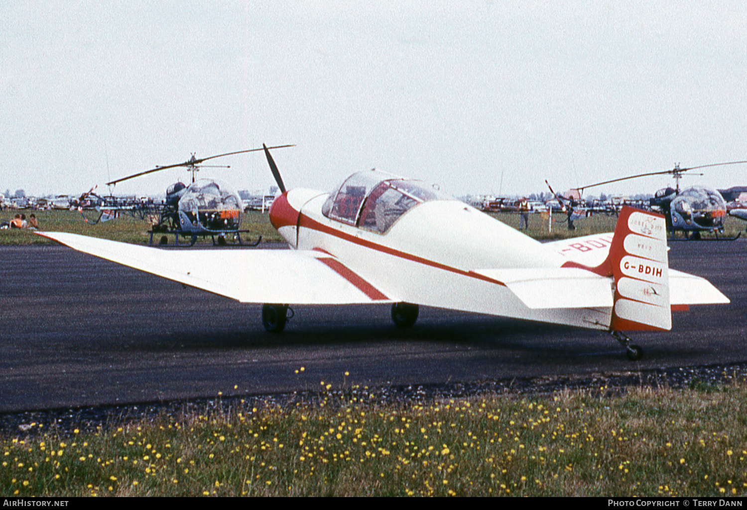 Aircraft Photo of G-BDIH | SAN Jodel D-117 | AirHistory.net #804494