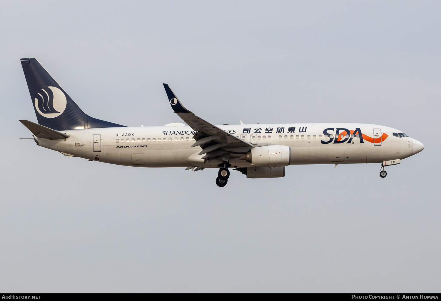 Aircraft Photo of B-220X | Boeing 737-800 | Shandong Airlines - SDA | AirHistory.net #805032