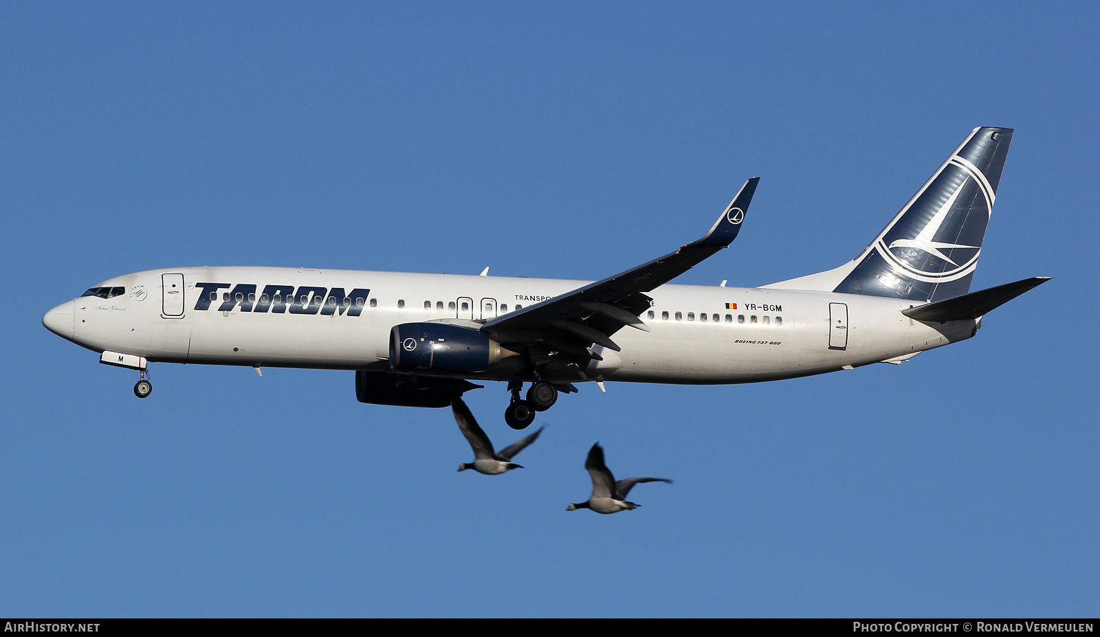 Aircraft Photo of YR-BGM | Boeing 737-8H6 | TAROM - Transporturile Aeriene Române | AirHistory.net #805447