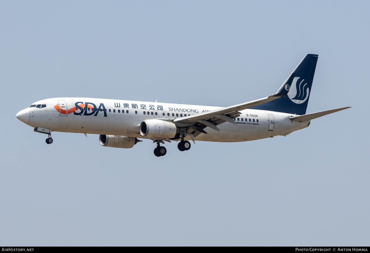 Aircraft Photo of B-5626 | Boeing 737-8HX | Shandong Airlines - SDA | AirHistory.net #806673