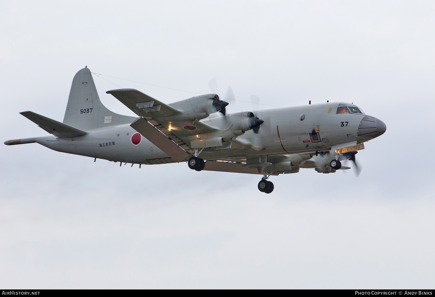 Aircraft Photo of 5037 | Lockheed P-3C Orion | Japan - Navy | AirHistory.net #806784