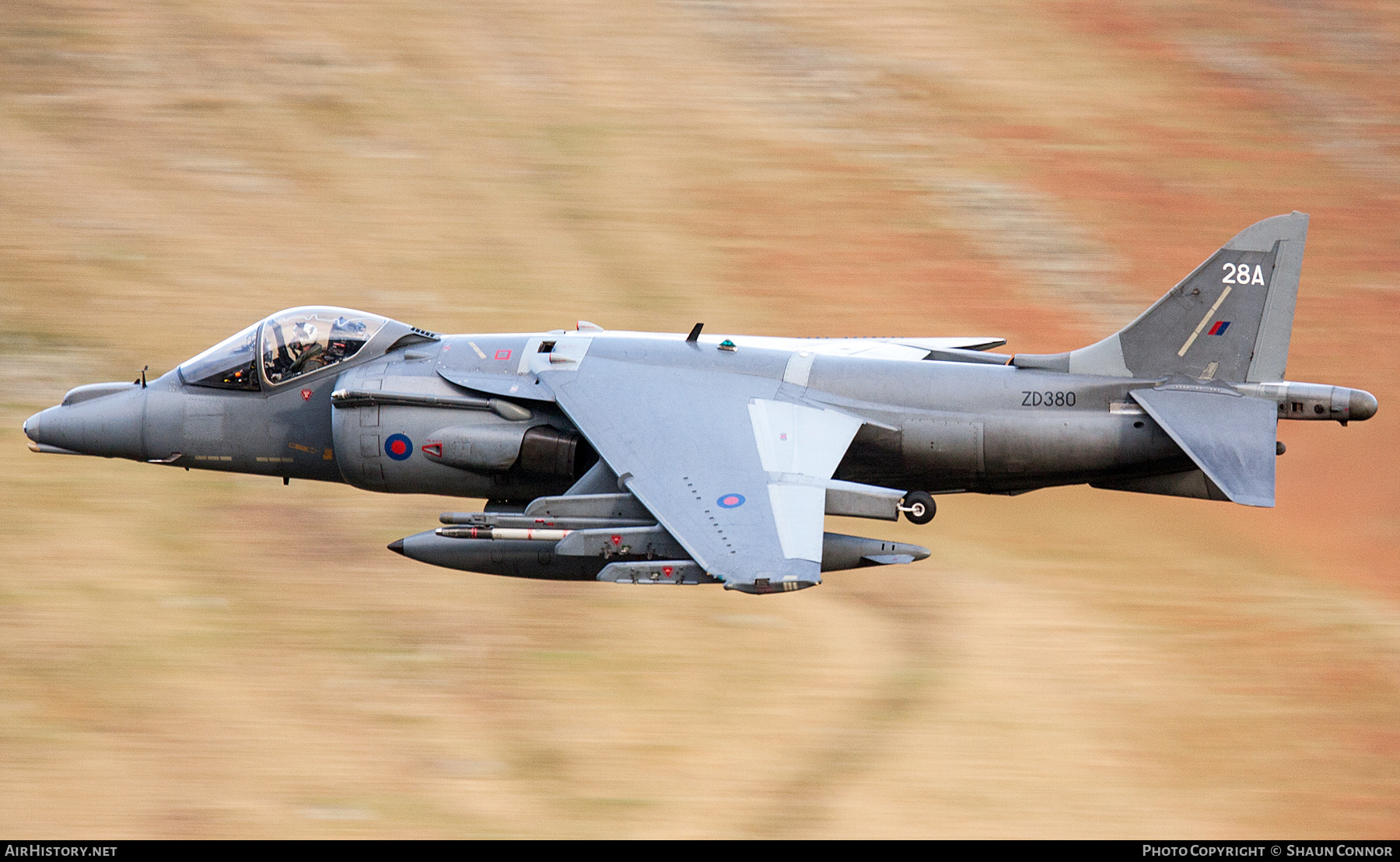 Aircraft Photo of ZD380 | British Aerospace Harrier GR9A | UK - Air Force | AirHistory.net #806888