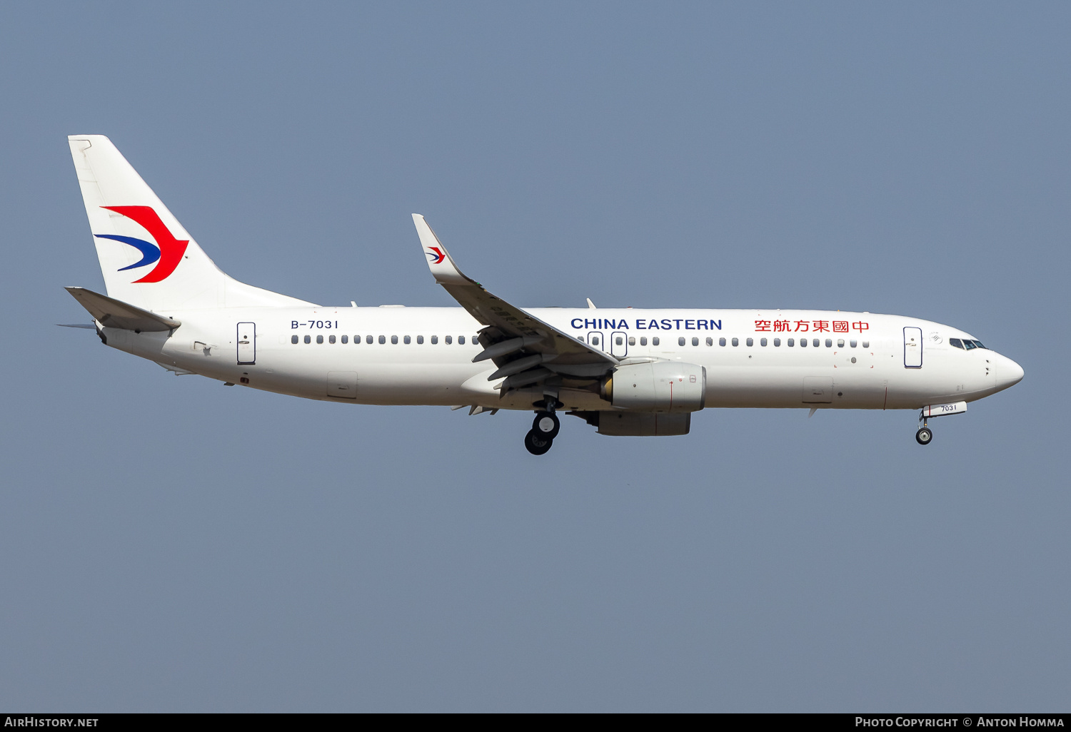 Aircraft Photo of B-7031 | Boeing 737-89P | China Eastern Airlines | AirHistory.net #807006