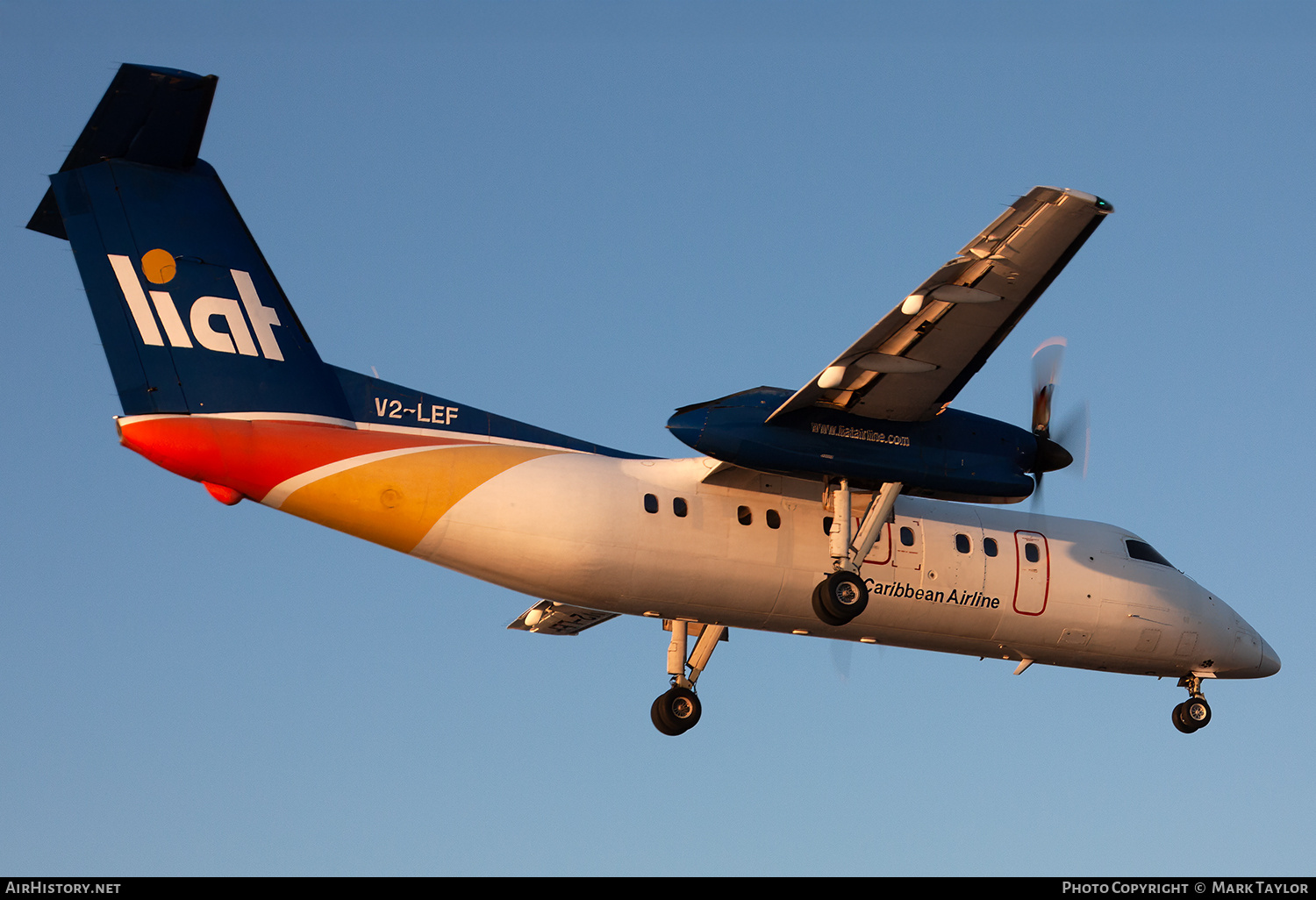 Aircraft Photo of V2-LEF | De Havilland Canada DHC-8-103 Dash 8 | LIAT - Leeward Islands Air Transport | AirHistory.net #807141