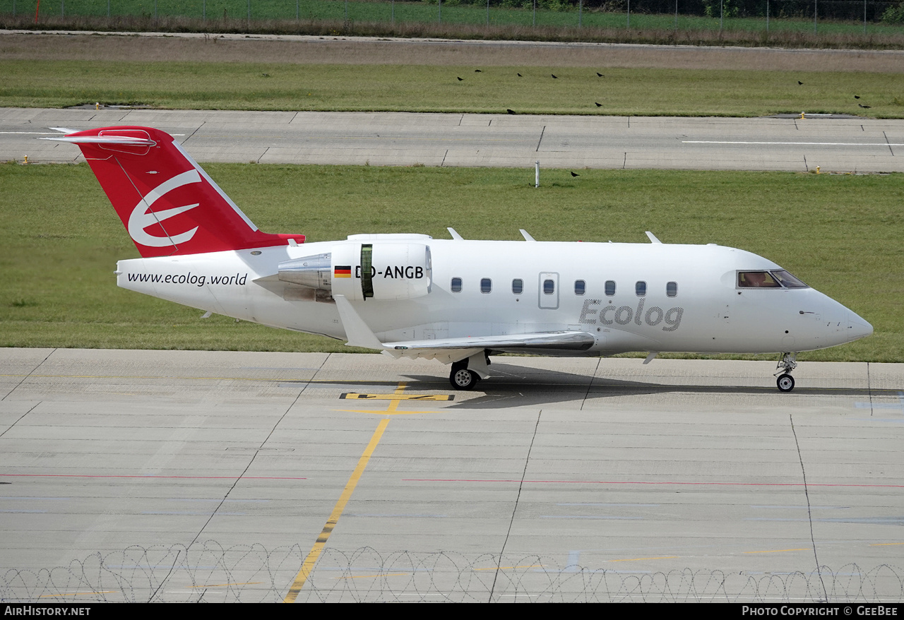 Aircraft Photo of D-ANGB | Canadair Challenger 604 (CL-600-2B16) | Ecolog International | AirHistory.net #808411