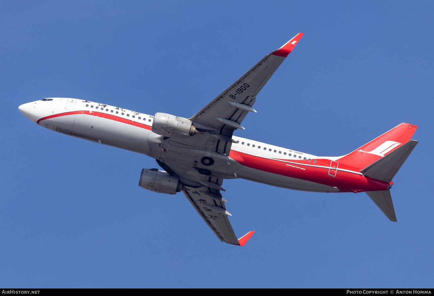 Aircraft Photo of B-1900 | Boeing 737-86D | Shanghai Airlines | AirHistory.net #809302
