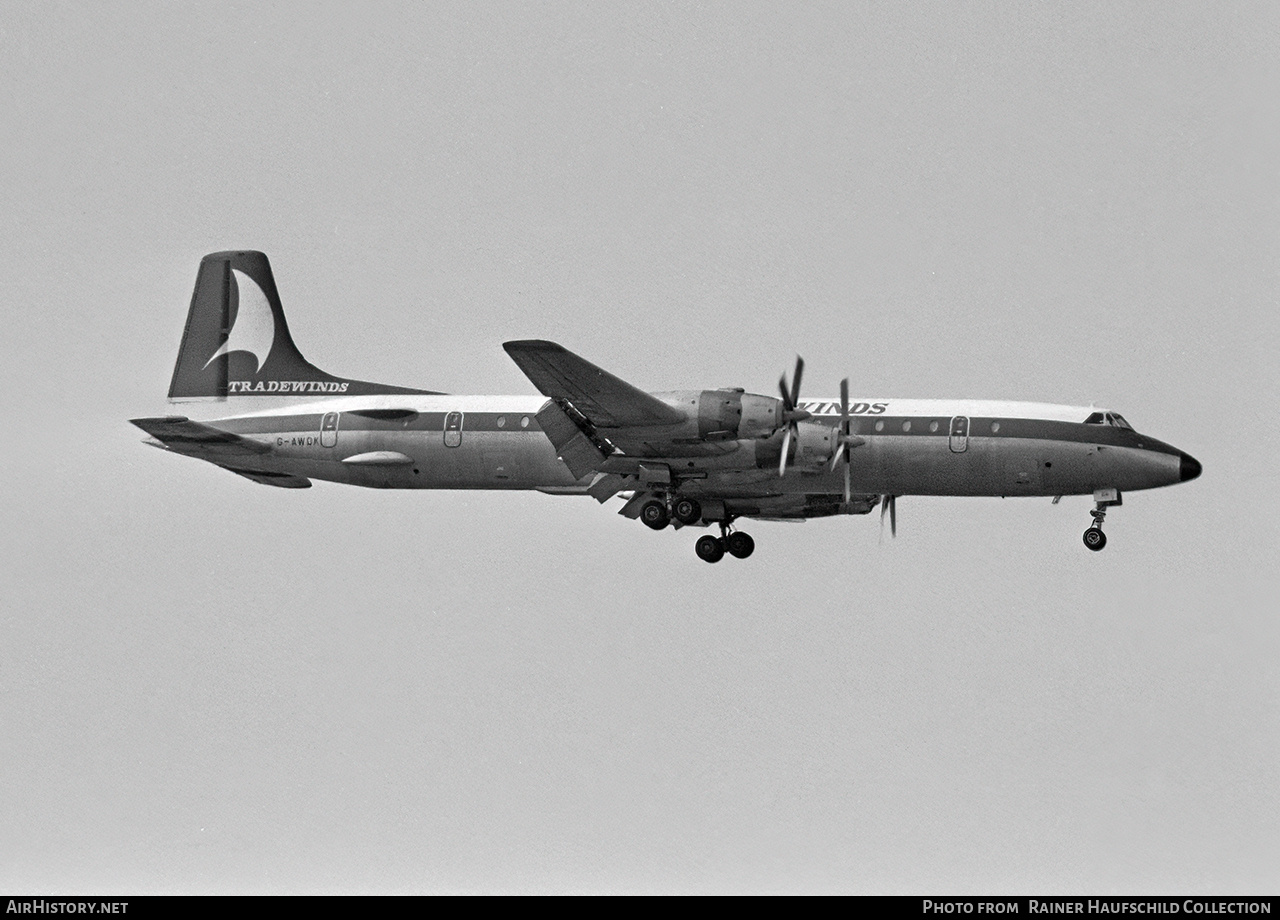 Aircraft Photo of G-AWDK | Canadair CL-44D4-1 | Tradewinds Airways | AirHistory.net #811175