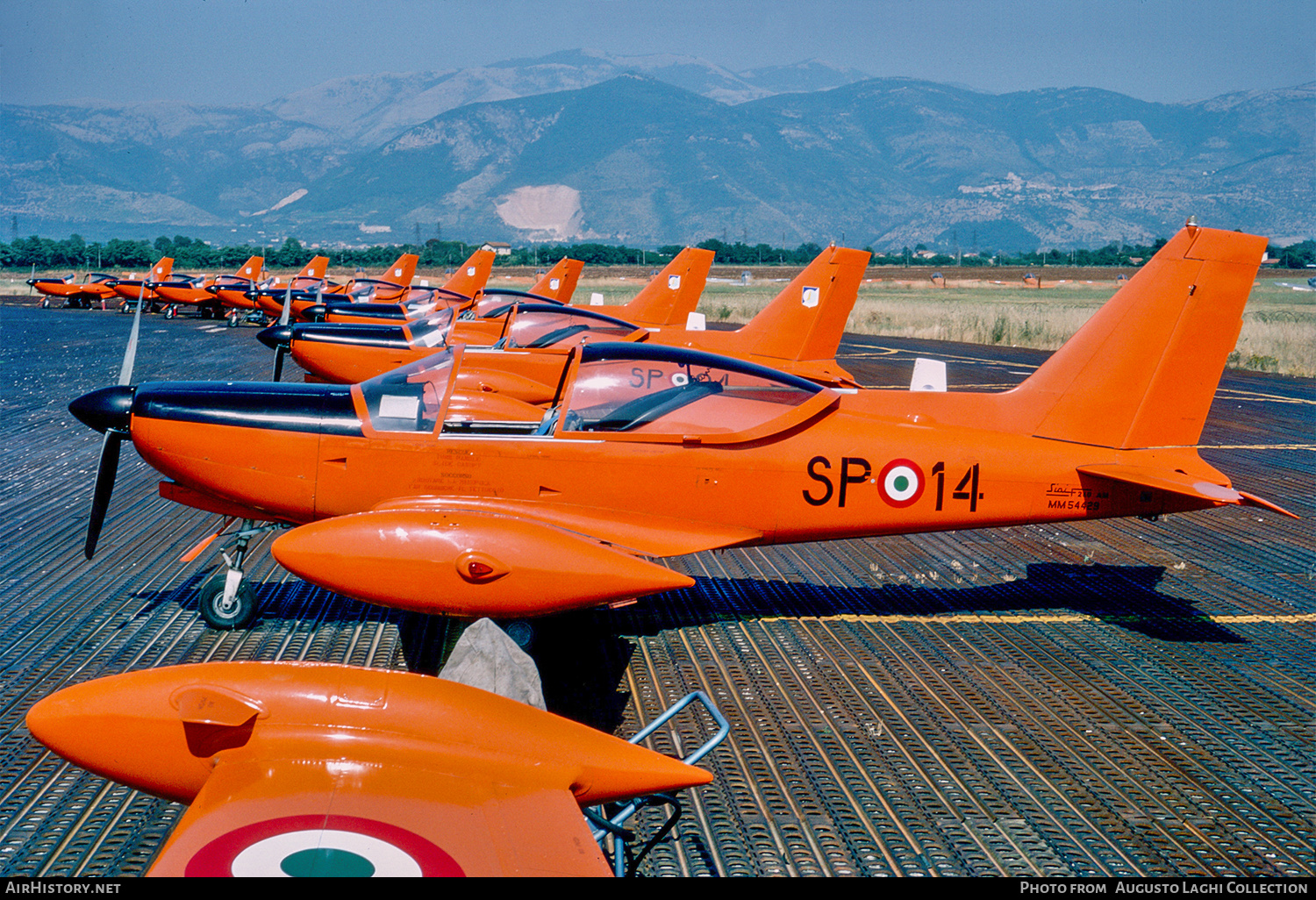 Aircraft Photo of MM54429 | SIAI-Marchetti SF-260AM | Italy - Air Force | AirHistory.net #811703