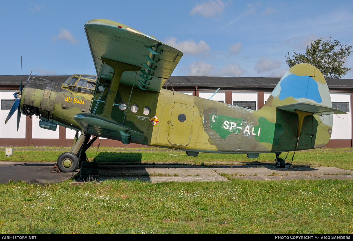 Aircraft Photo of SP-ALI | Antonov An-2T | AirHistory.net #811810