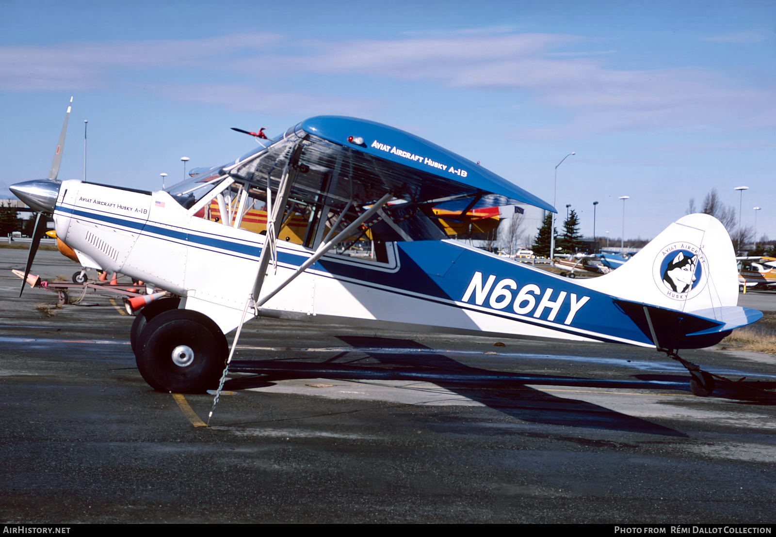 Aircraft Photo of N66HY | Aviat A-1B Husky | AirHistory.net #812982